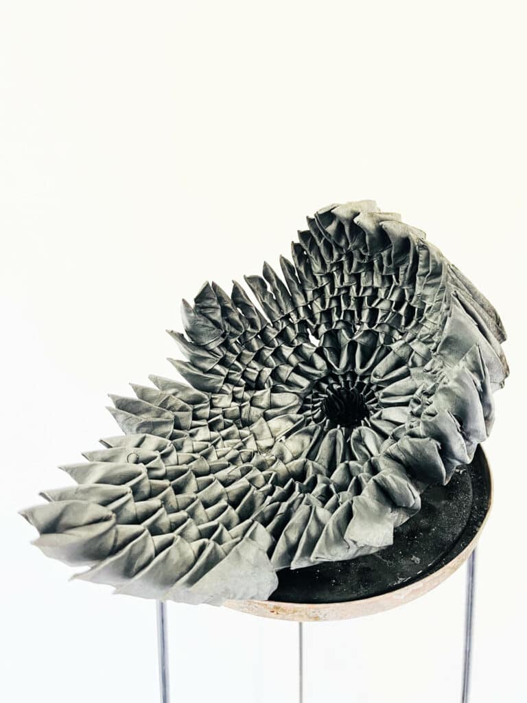 Carbonised Paper – Claw Form